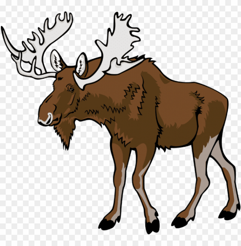 Detail Moose No Background Nomer 12