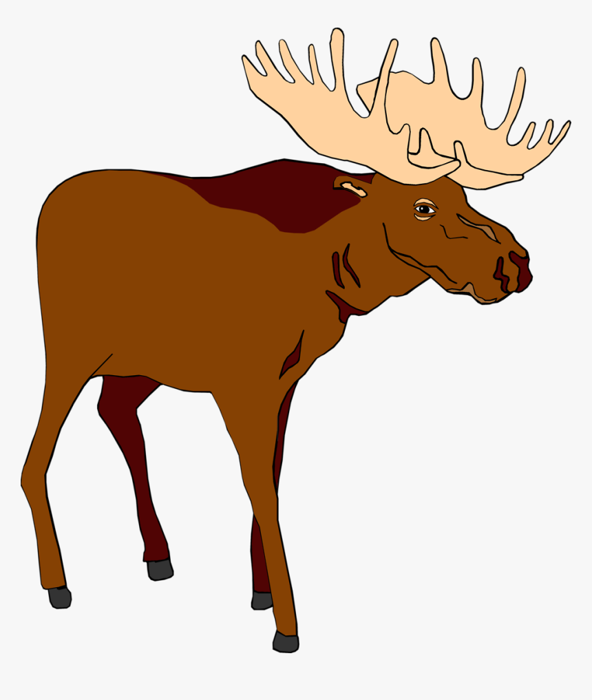 Detail Moose No Background Nomer 17
