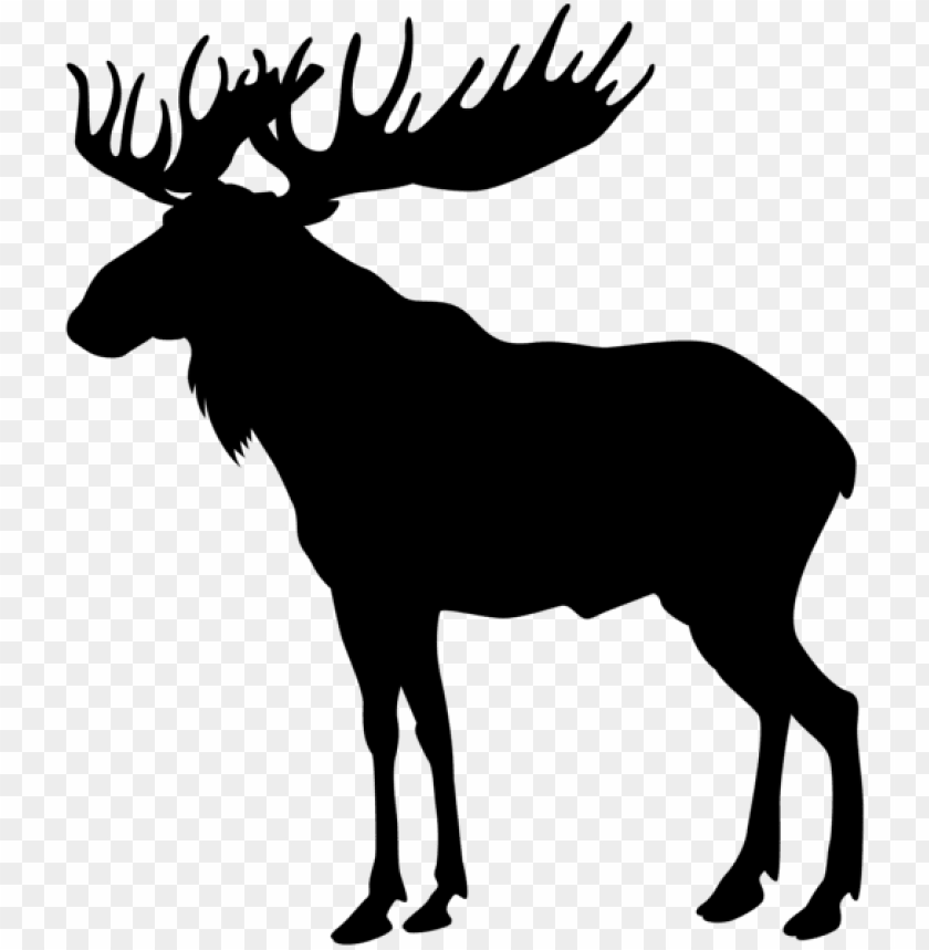 Detail Moose No Background Nomer 31