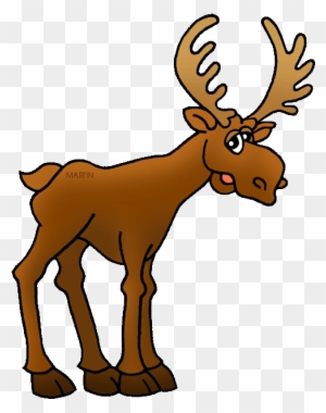 Detail Moose No Background Nomer 33