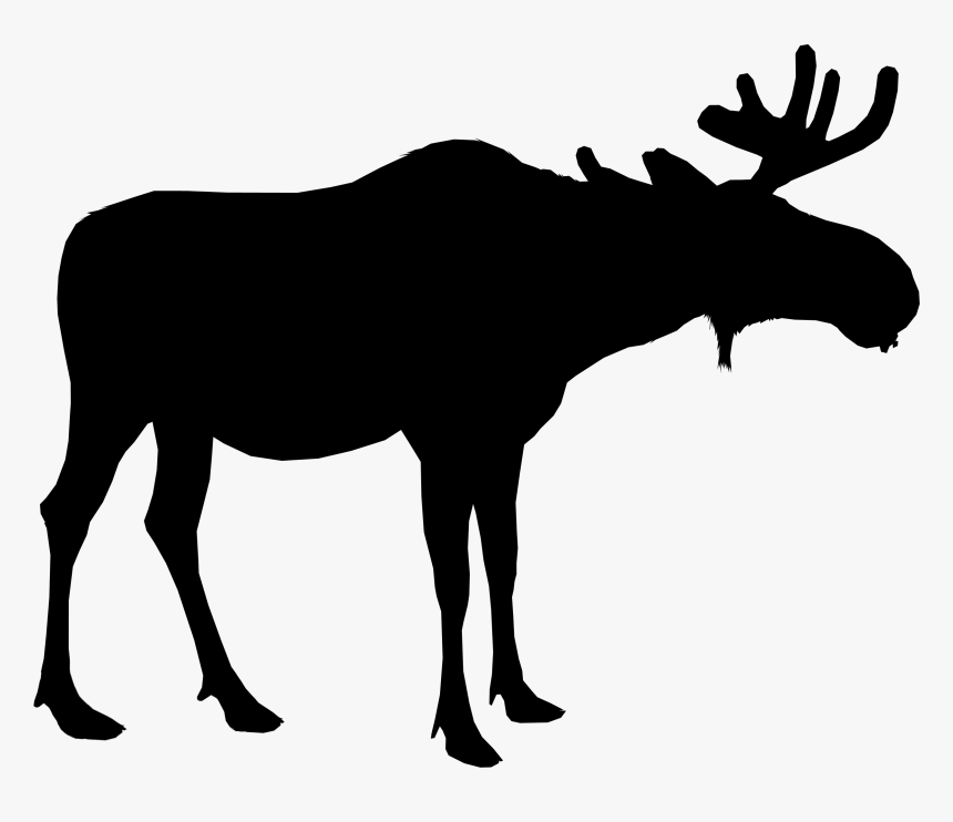 Detail Moose No Background Nomer 36