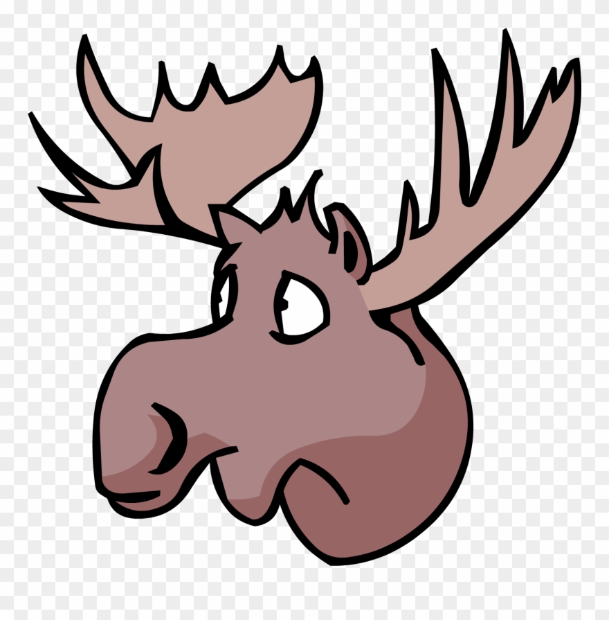 Detail Moose No Background Nomer 54