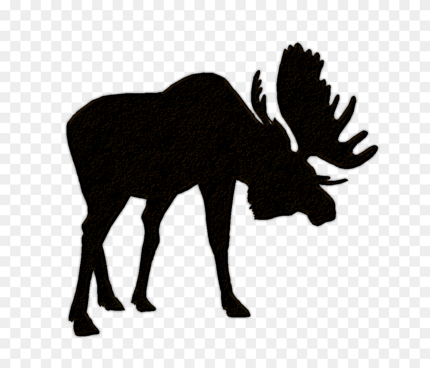 Detail Moose Silhouette Png Nomer 25