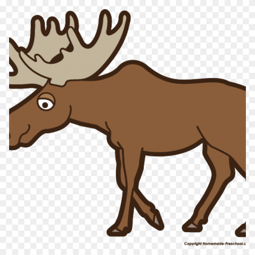 Detail Moose Silhouette Png Nomer 48