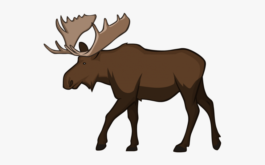 Detail Moose Transparent Nomer 2
