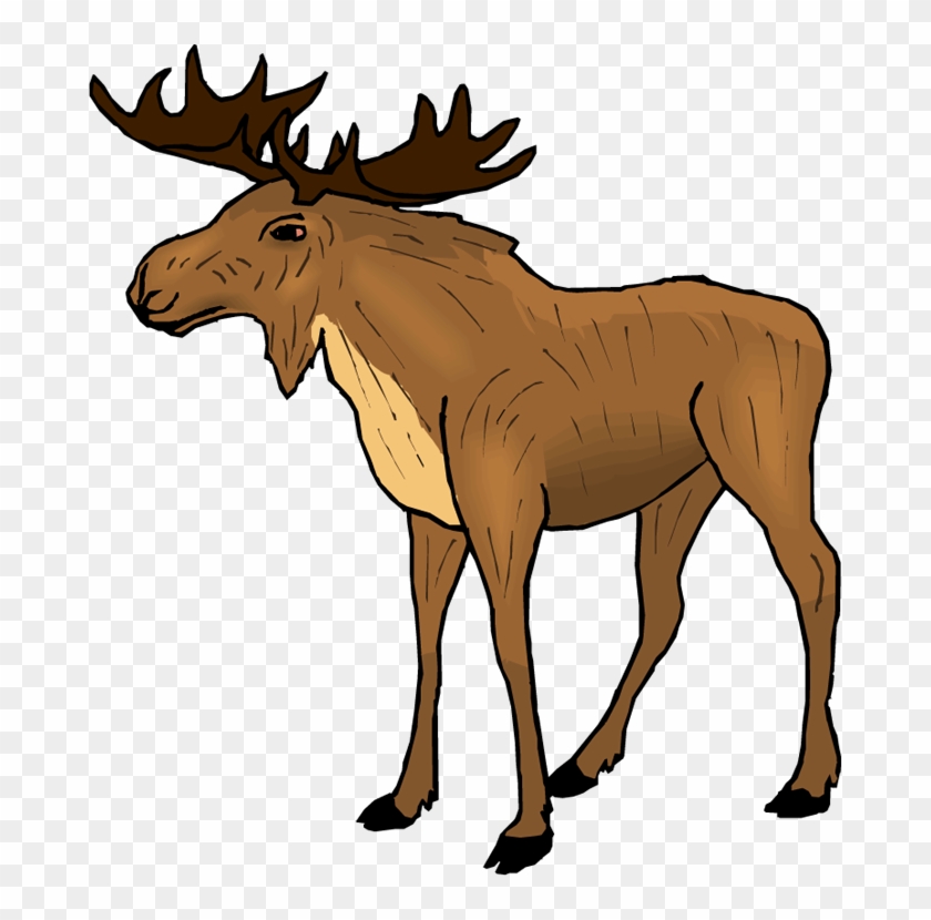 Detail Moose Transparent Nomer 12