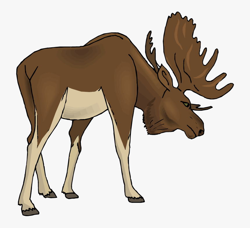 Detail Moose Transparent Nomer 13