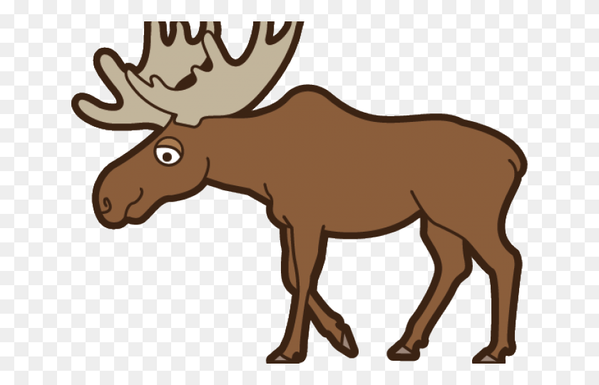 Detail Moose Transparent Nomer 20