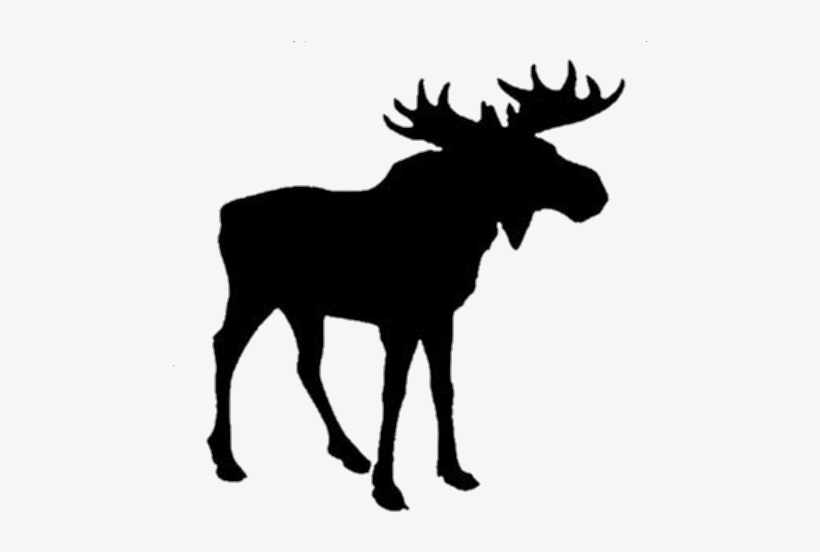 Detail Moose Transparent Nomer 34
