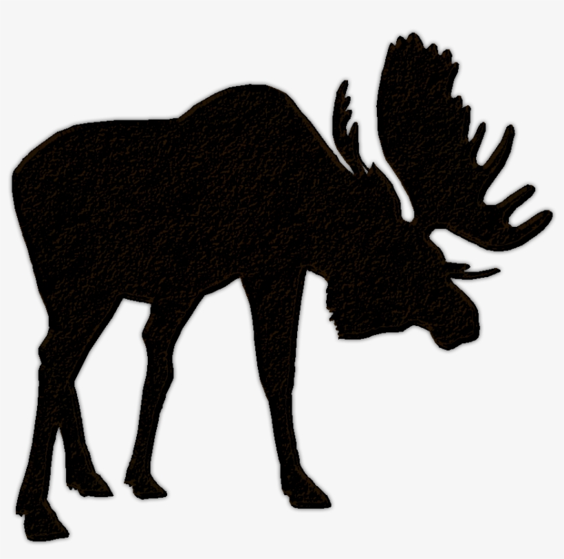 Detail Moose Transparent Nomer 47