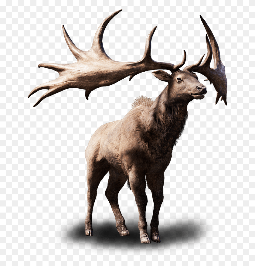Detail Moose Transparent Nomer 48