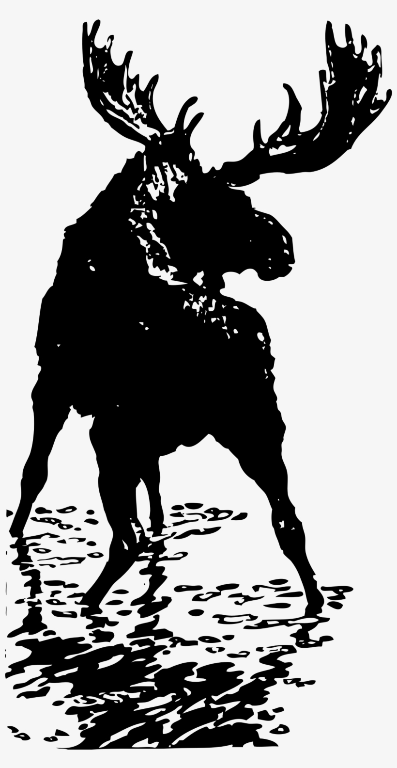 Detail Moose Transparent Nomer 49