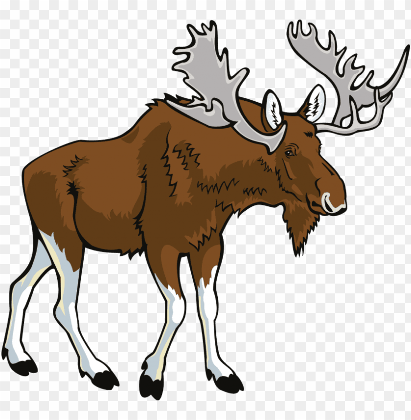 Detail Moose Transparent Nomer 7