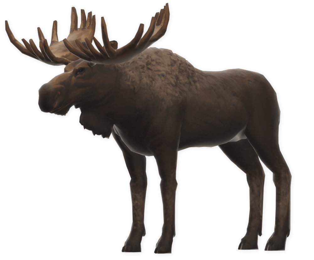 Detail Moose Transparent Nomer 9