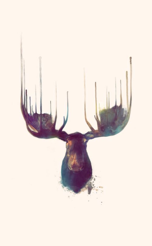 Detail Moose Wallpaper Iphone Nomer 24