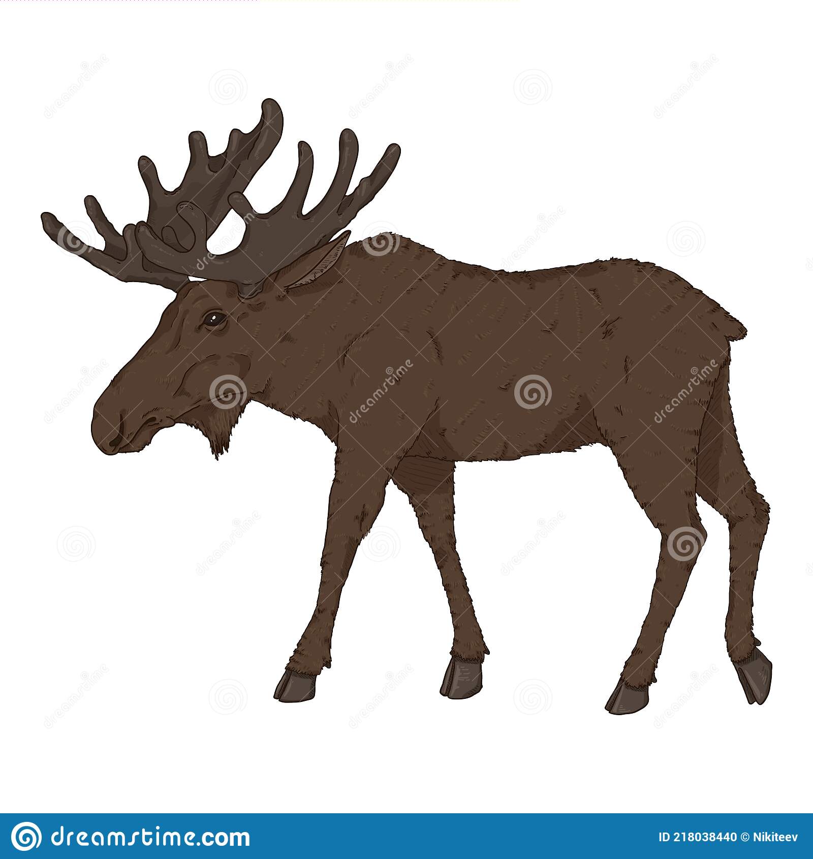 Detail Moose White Background Nomer 36