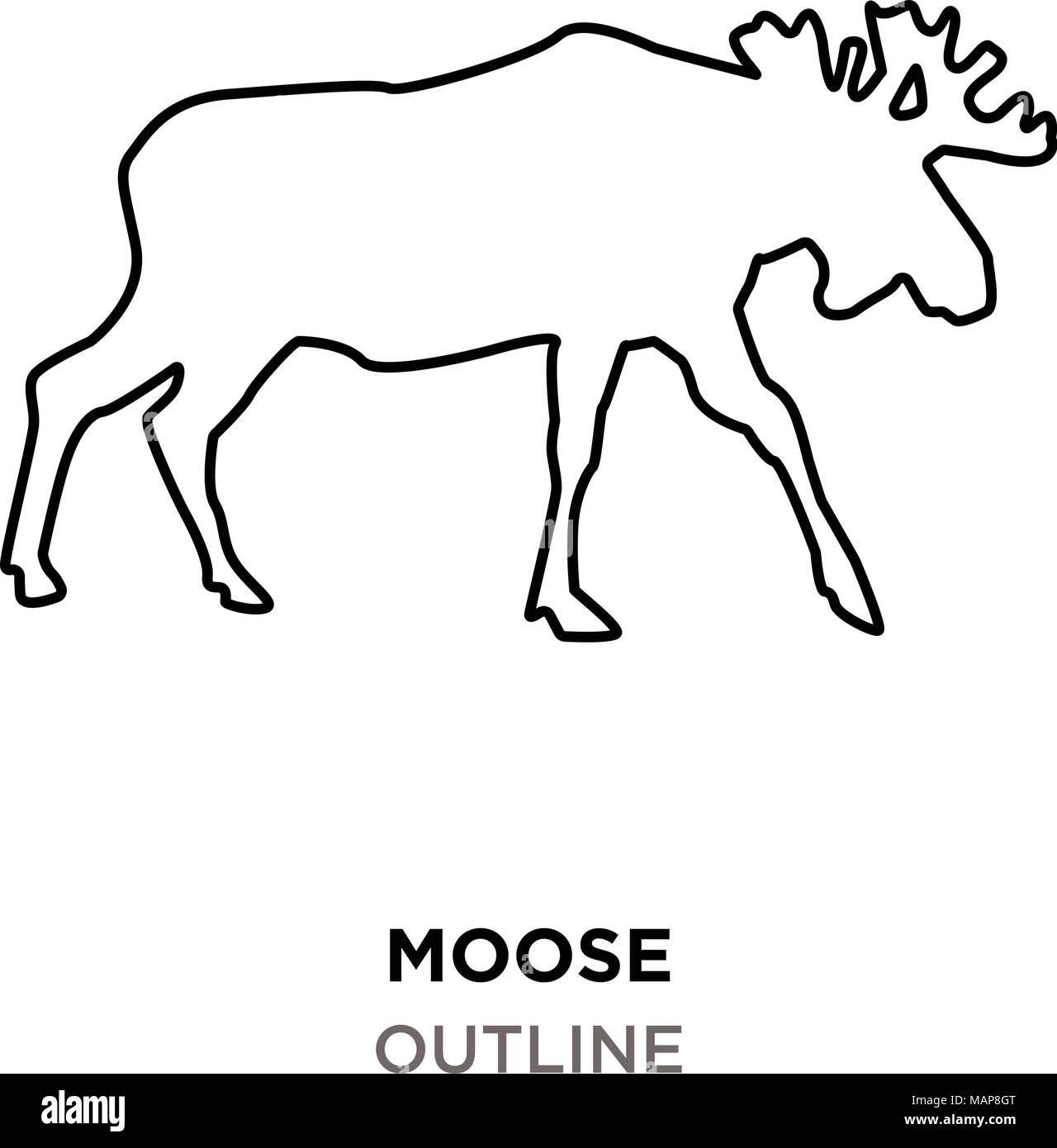 Detail Moose White Background Nomer 49