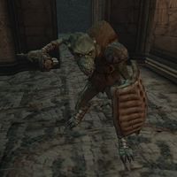 Detail Morrowind Goblins Nomer 2