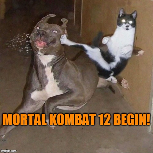 Detail Mortal Kombat Cat Flip Nomer 14