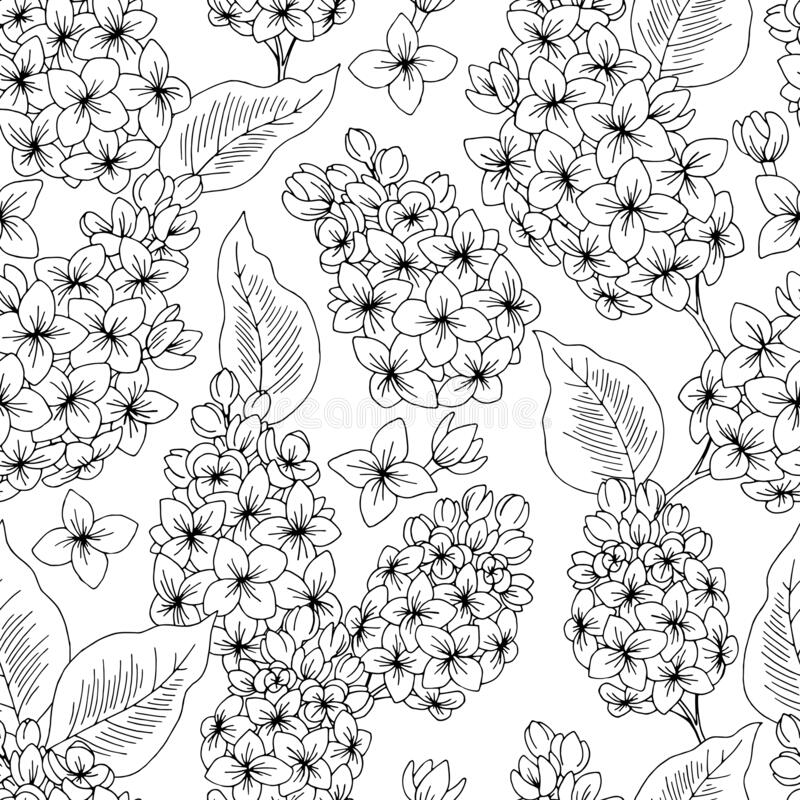 Detail Lilac Clipart Black And White Nomer 12