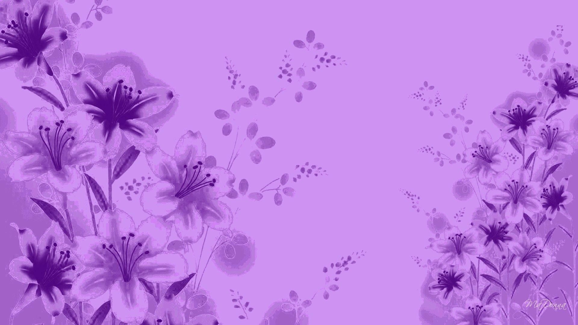 Detail Lilac Colour Background Nomer 20