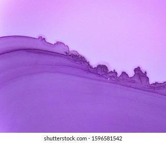 Detail Lilac Colour Background Nomer 33