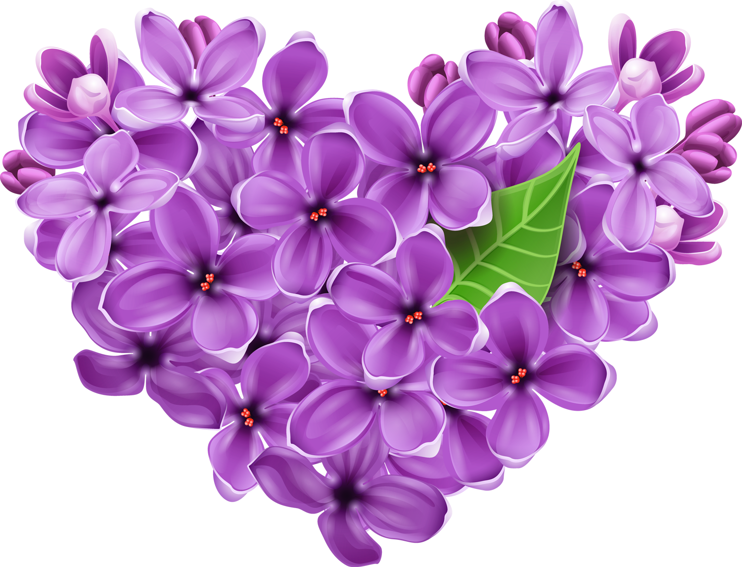 Detail Lilac Flower Clipart Nomer 11