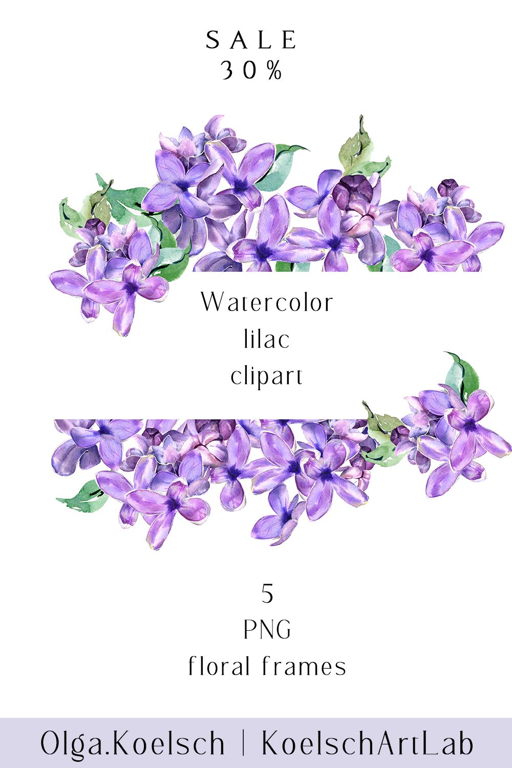 Detail Lilac Flower Clipart Nomer 29