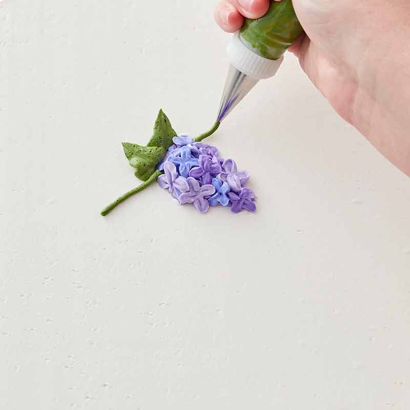 Detail Lilac Flower Images Nomer 29