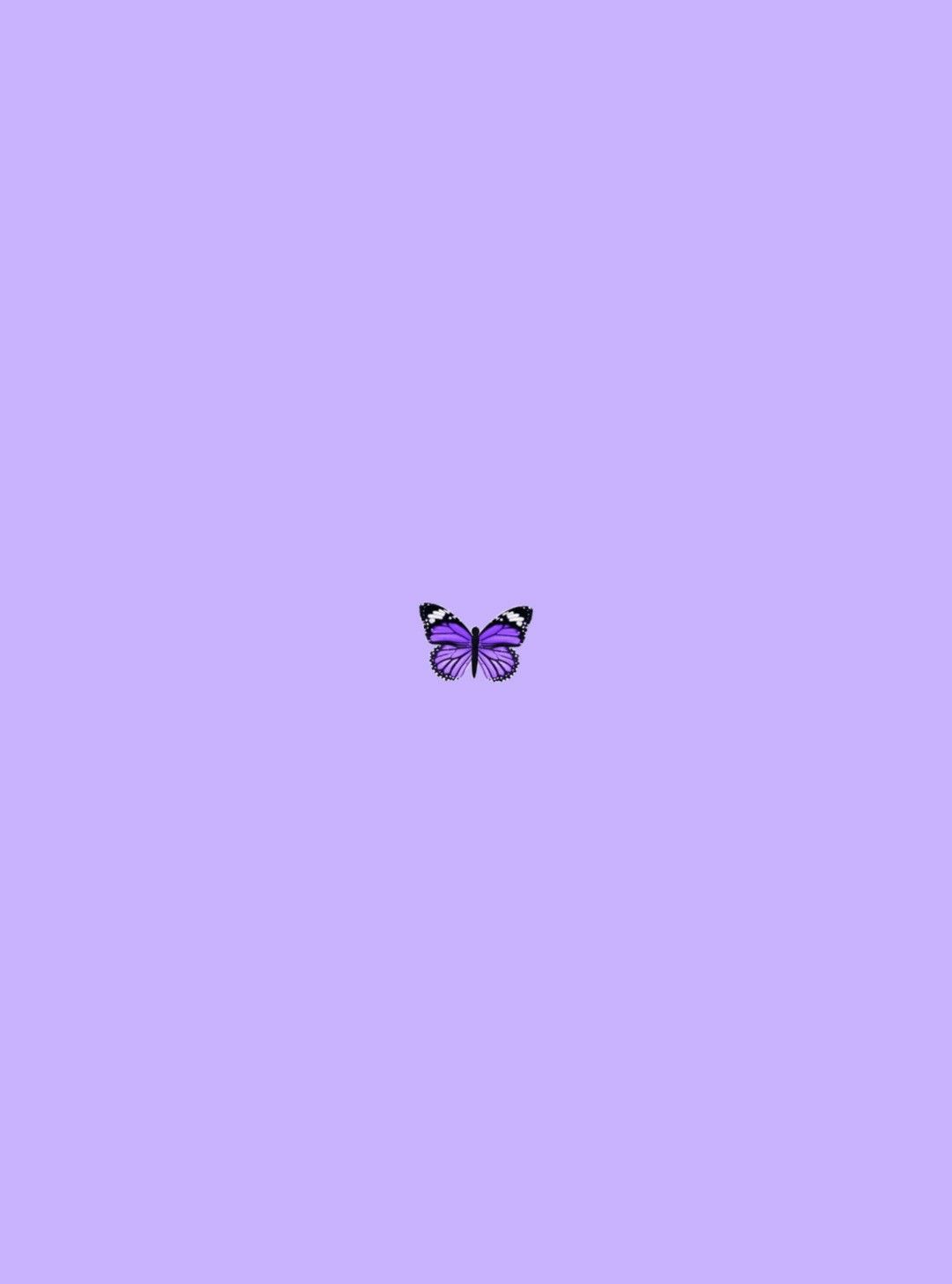 Lilac Wallpaper Ungu Pastel - KibrisPDR