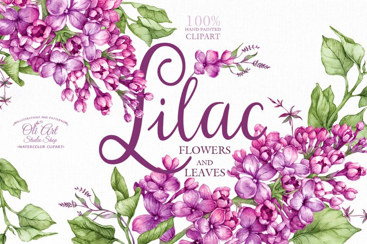 Detail Lilacs Clipart Nomer 49