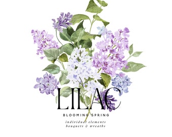 Detail Lilacs Clipart Nomer 50