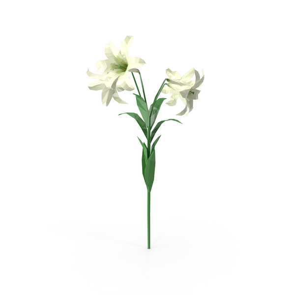 Detail Lilies Png Nomer 40