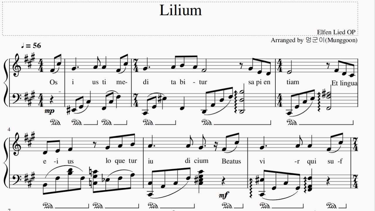 Detail Lilium Piano Nomer 57