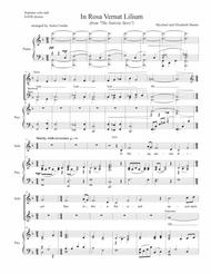 Detail Lilium Violin Sheet Music Nomer 15