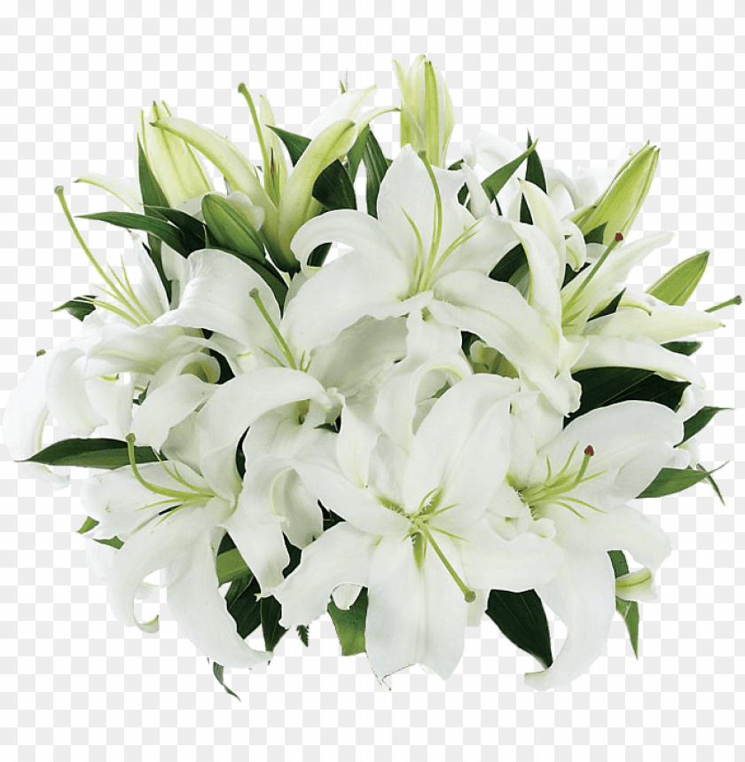 Detail Lillies Png Nomer 13