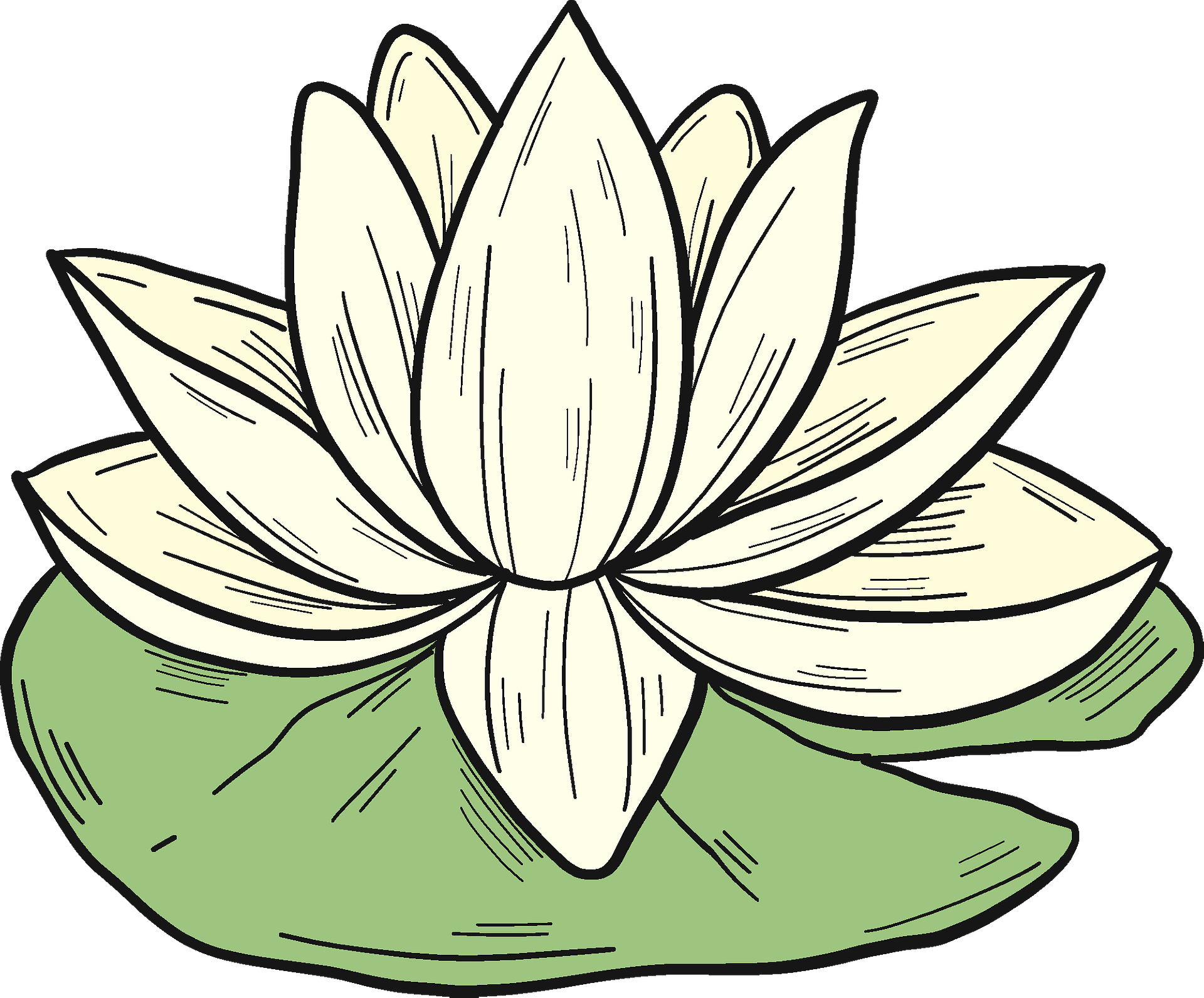 Detail Lily Pad Clipart Nomer 38