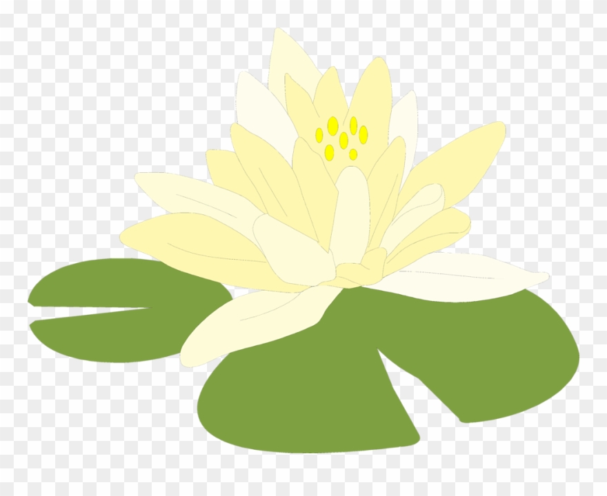 Detail Lily Pad Clipart Nomer 48