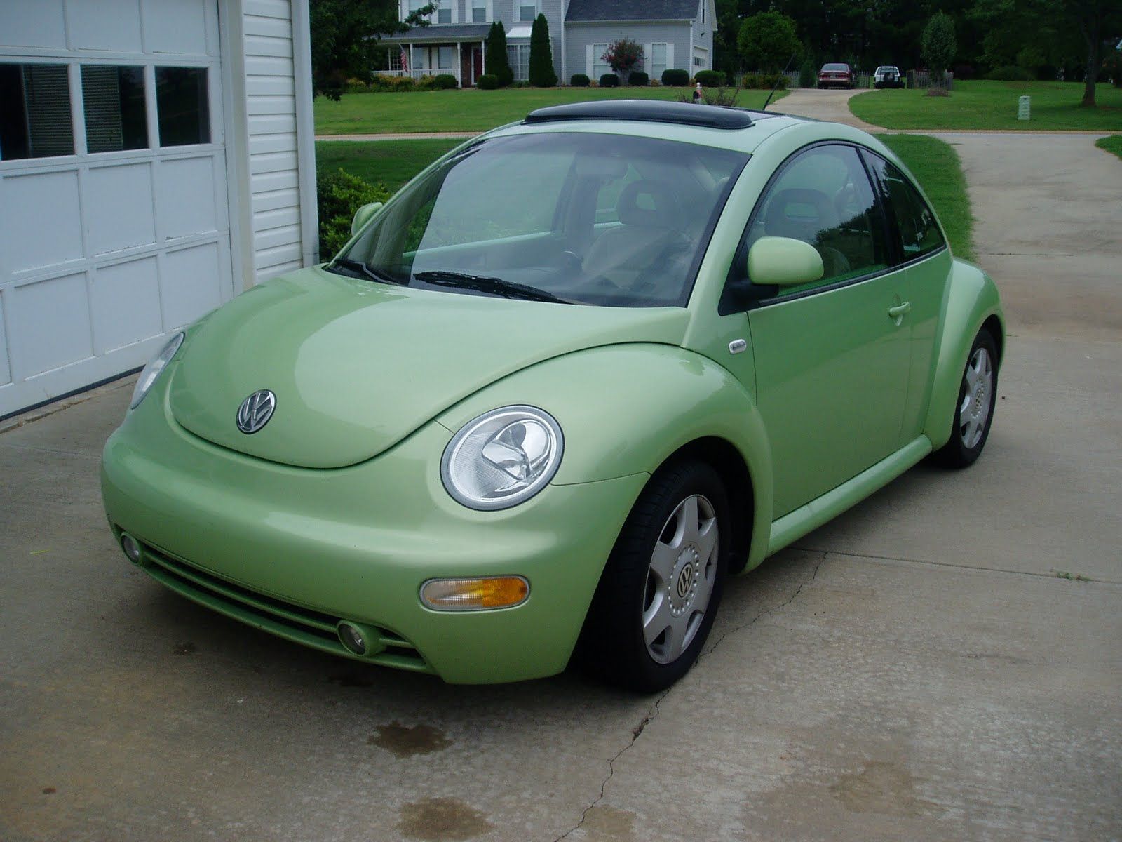 Detail Lime Green Slug Bug Nomer 2