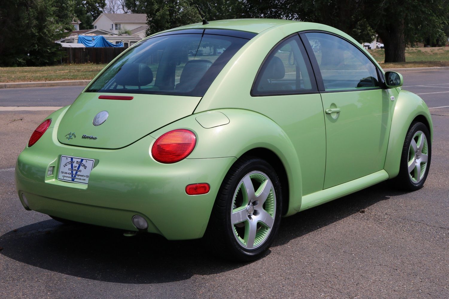 Detail Lime Green Slug Bug Nomer 14