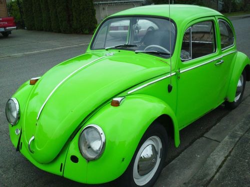 Detail Lime Green Slug Bug Nomer 15