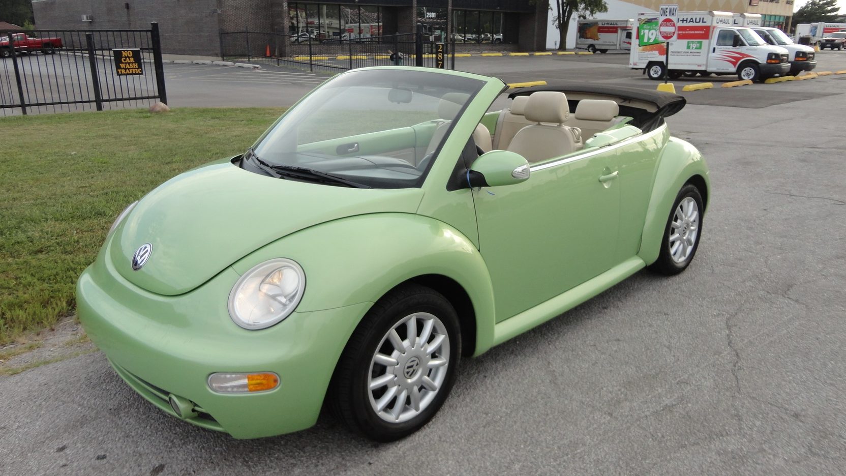 Detail Lime Green Slug Bug Nomer 16