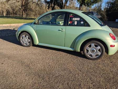 Detail Lime Green Slug Bug Nomer 18