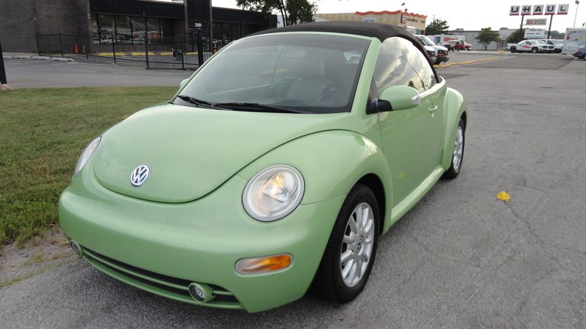 Detail Lime Green Slug Bug Nomer 19