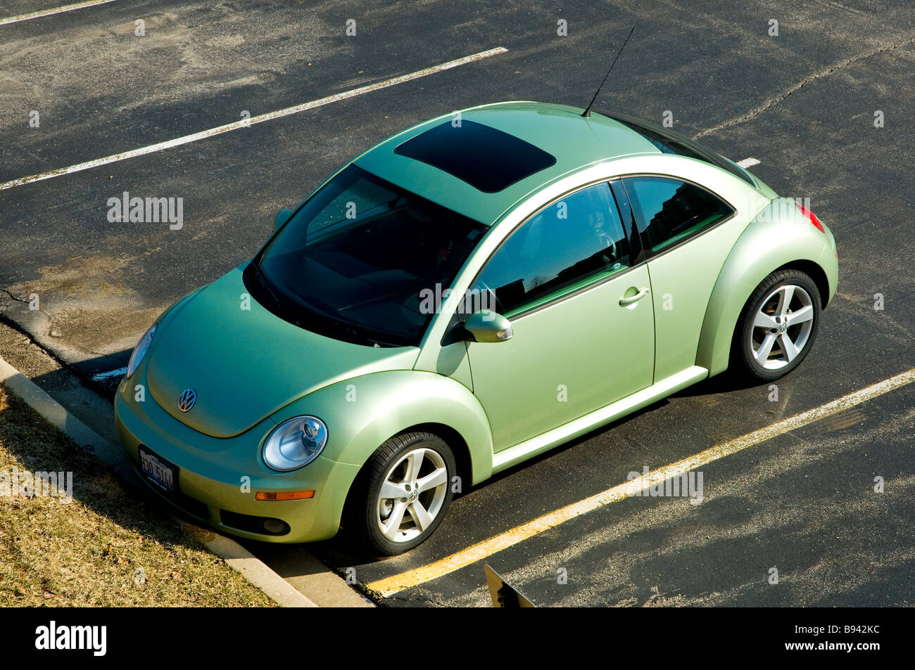 Detail Lime Green Slug Bug Nomer 35
