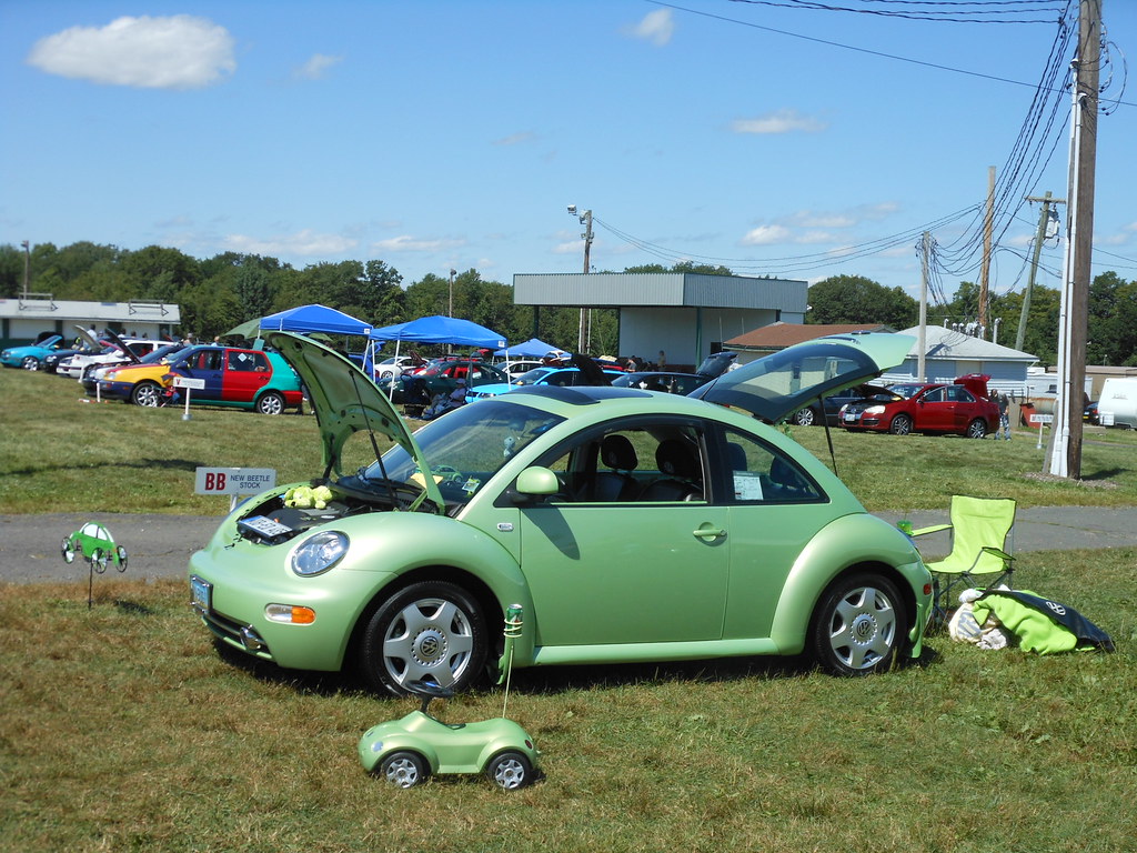 Detail Lime Green Slug Bug Nomer 37