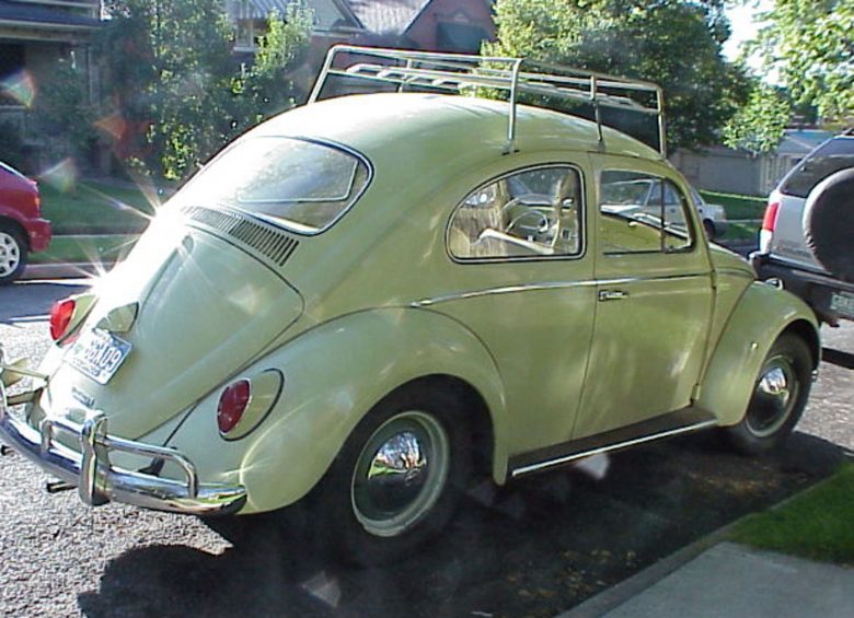 Detail Lime Green Slug Bug Nomer 40