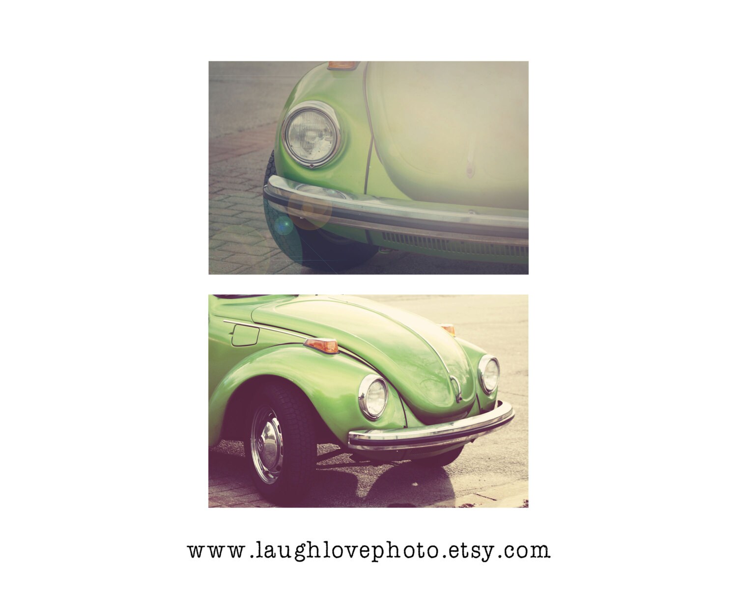 Detail Lime Green Slug Bug Nomer 41