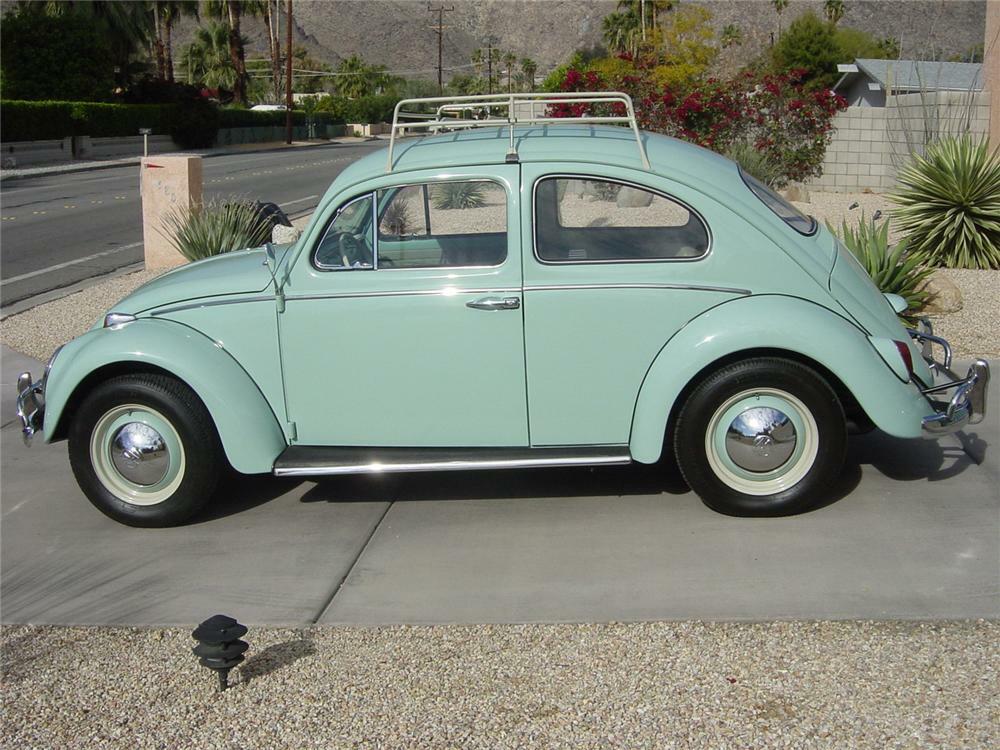 Detail Lime Green Slug Bug Nomer 42