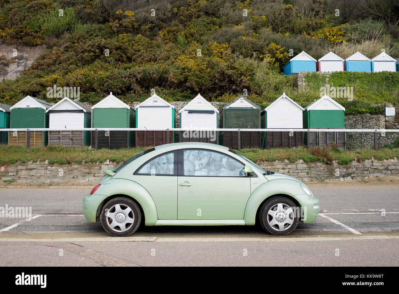 Detail Lime Green Slug Bug Nomer 49